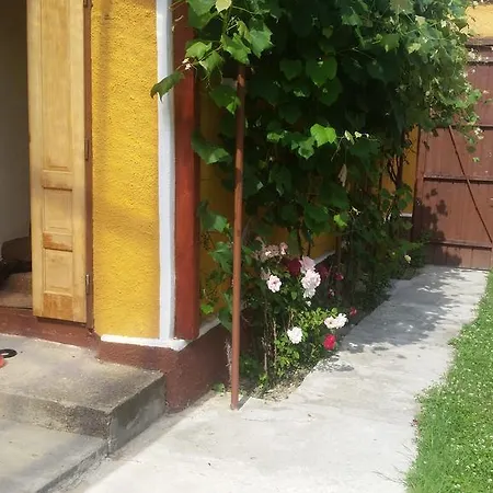 Casa La Tara, Langa Fagaras Будинок відпочинку *