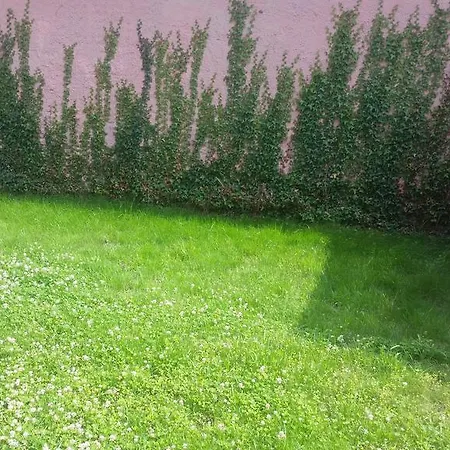 Casa La Tara, Langa Fagaras * Брашов