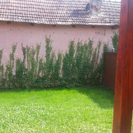 Casa La Tara, Langa Fagaras Будинок відпочинку